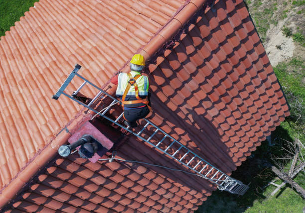 Best Solar Panel Roofing Installation  in Petersburg, VA
